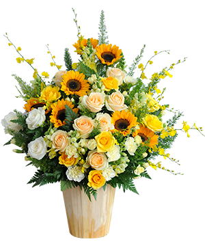 Tulip Arrangement