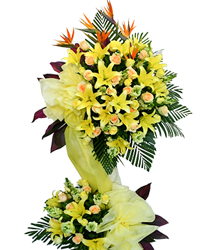 Orchid Arrangement